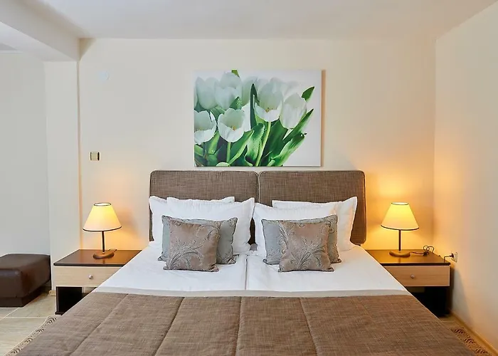 Venus 2* 阳光海滩